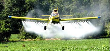 27092013_agrotoxicos_terradedireitos.jpg