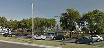08102013_arvoresclubeoficiais_googl_20200308-091903_1.jpg