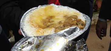 291013_cascudinha_amafav_20200308-104508_1.jpg