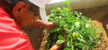 03012013_agricultura_familiar_MPA_Brasi_20200308-111737_1.png