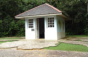 18042013_melloleitaoorquidea_20200308-123455_1.jpg