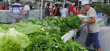 240613_feira_organicos_elizabethnader_pm_20200308-140852_1.jpg