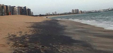 301115_mineriocamburi_aapc.png