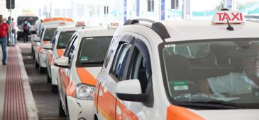 080916_taxi_LeonardoSa_01.jpg