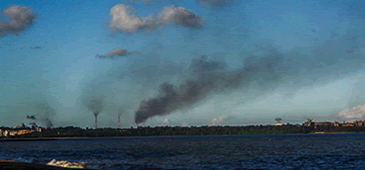 22012015_tubarao_le_20200308-184621_1.gif